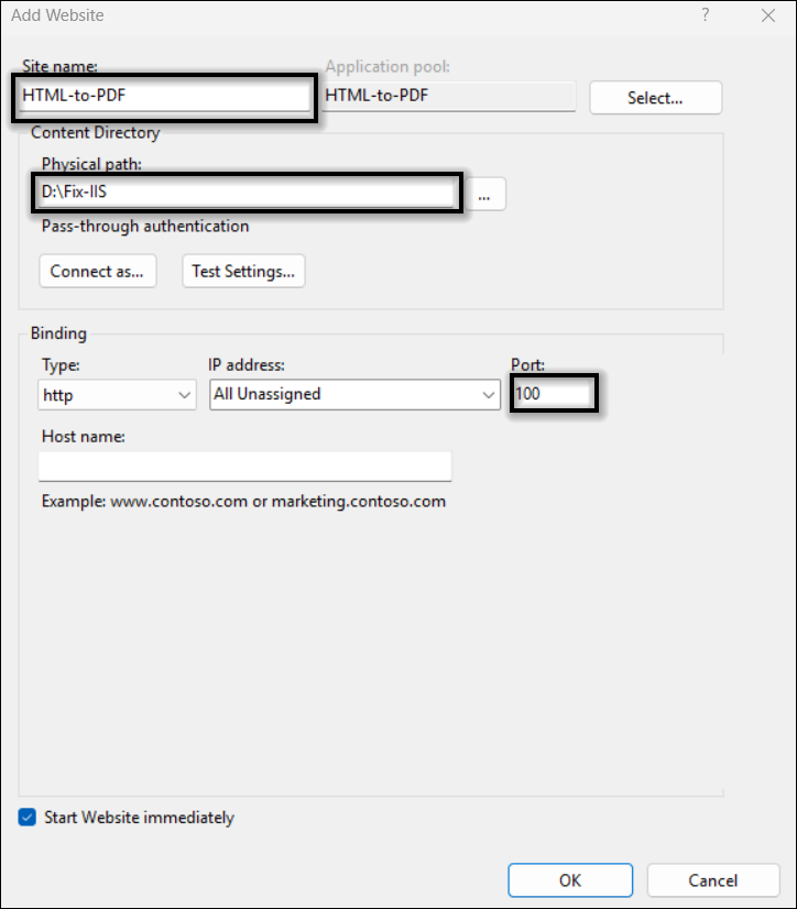 IIS Website