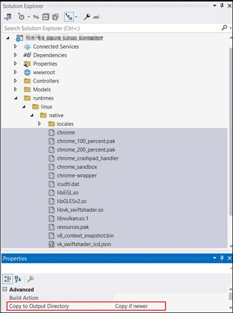 Output dictionary path