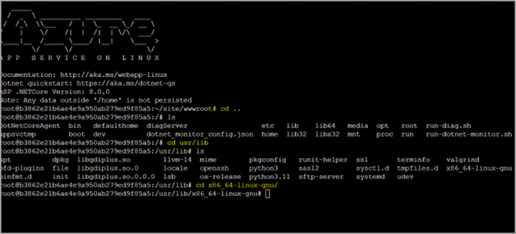 Navigation to the libdl assembly location