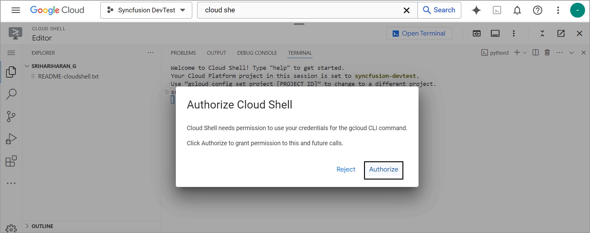 Click Authorize button
