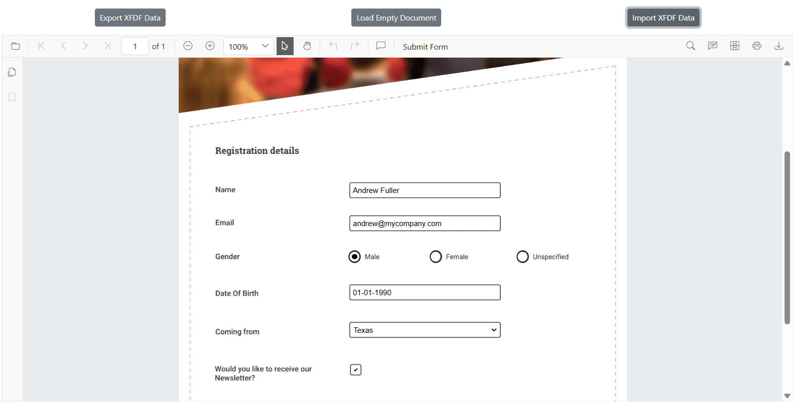 Export and Import XFDF Format