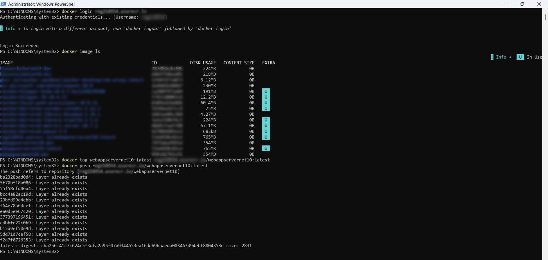 Push the docker into Azure container
