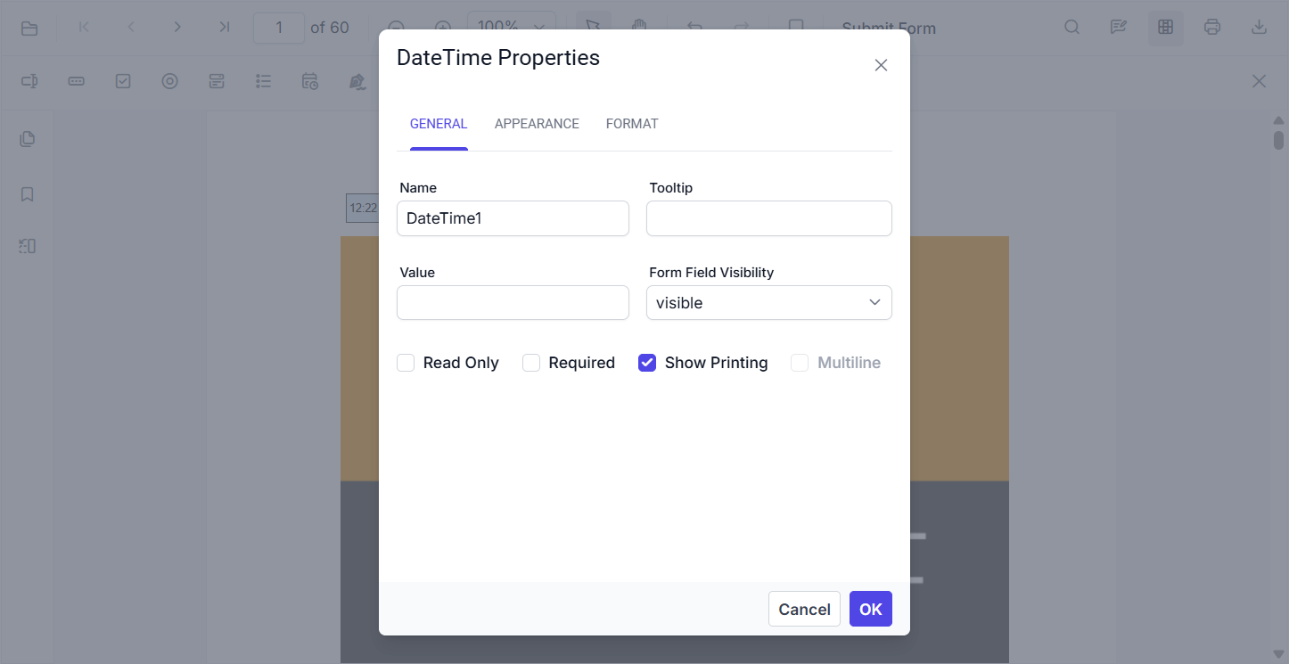 General properties for a DateTime Picker field