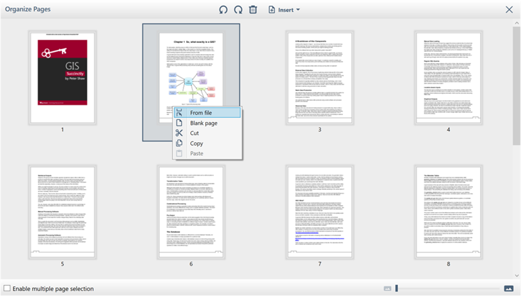 WPF PDF Viewer option button context menu