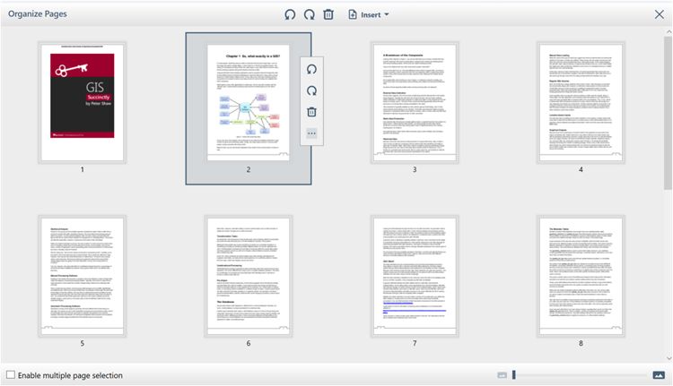 WPF PDF Viewer insert Pages option button