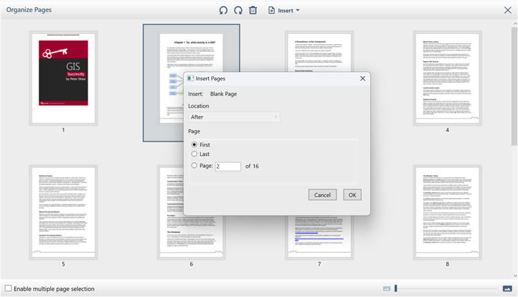 WPF PDF Viewer insert page window blank page 