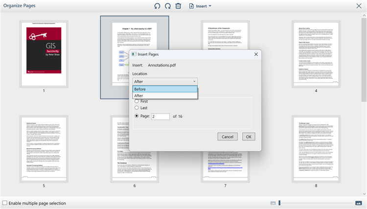 WPF PDF Viewer insert page window 