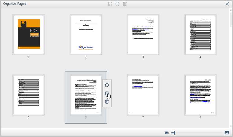 WPF PDF Viewer Page Toolbar
