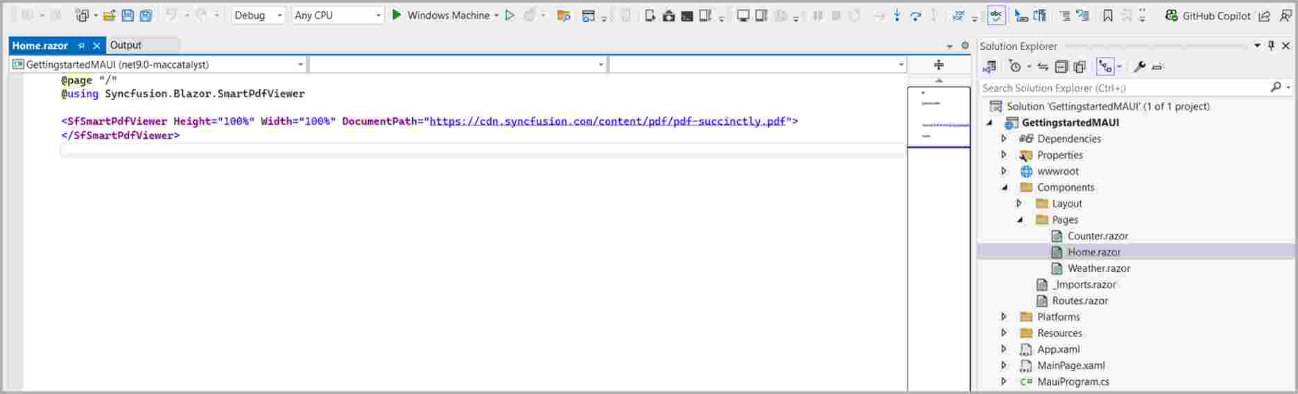 Run MAUI app on Windows target