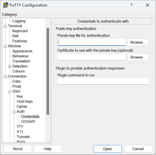 Add the .ppk file in Credentials