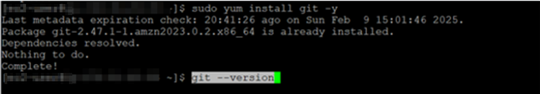 Ensure git installation