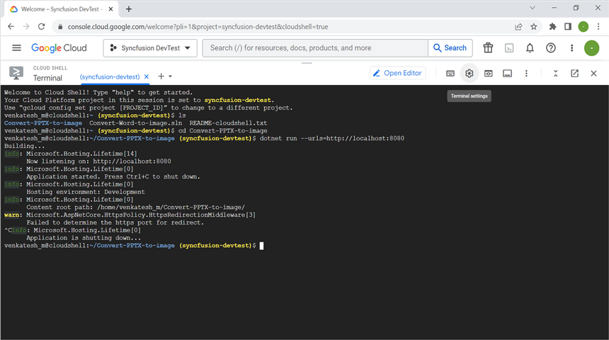 Stop the process in terminal