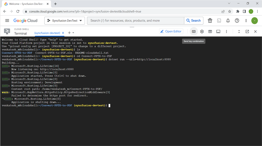 Stop the process in terminal