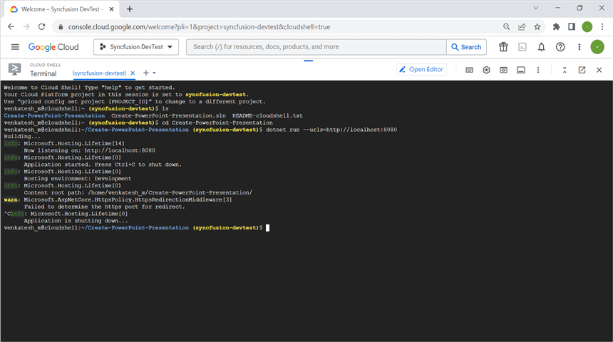 Stop the process in terminal