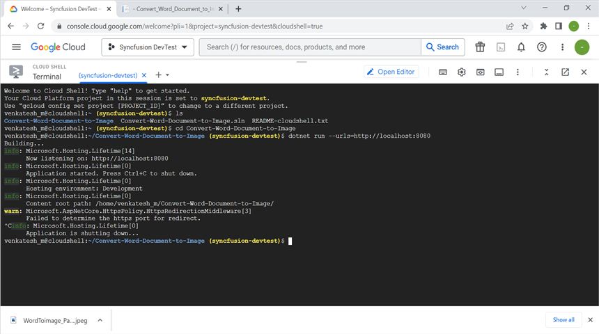 Press Ctrl+C in Cloud Shell Terminal