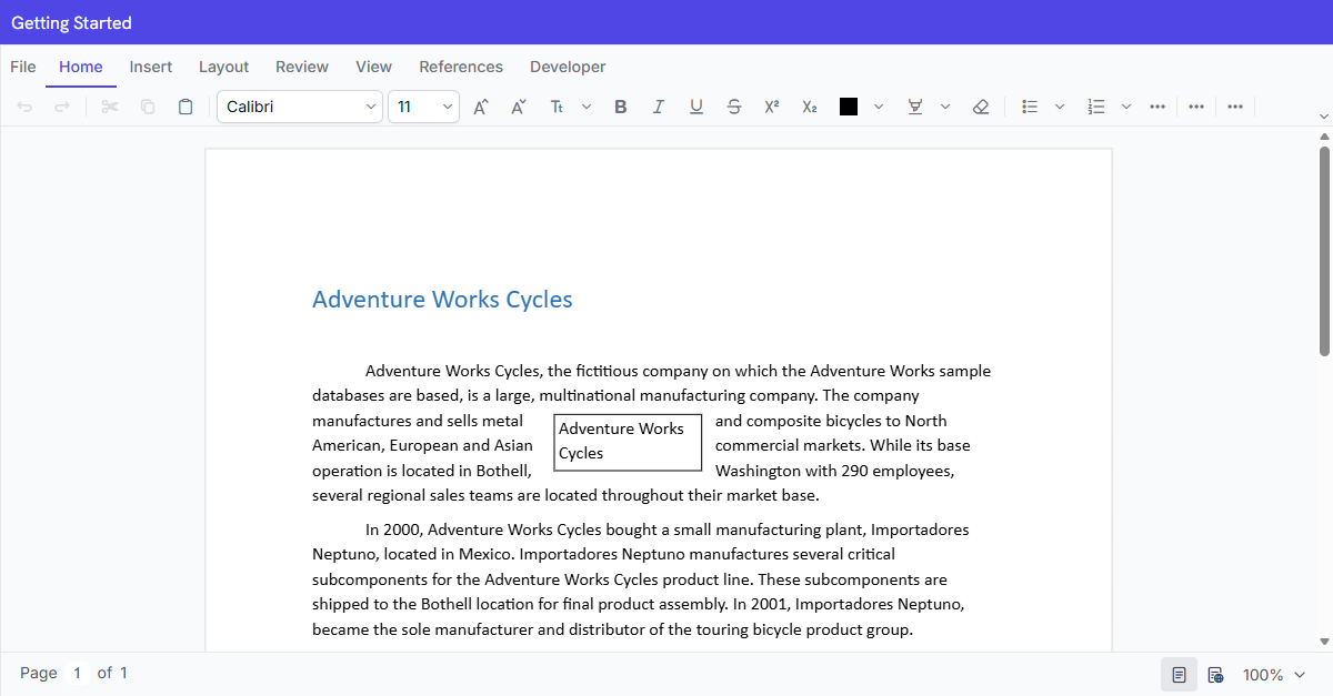 Output of Angular DOCX Editor Using Syncfusion CLI