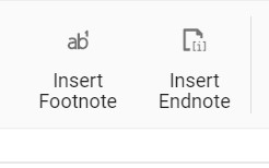 Insert footnote endnote