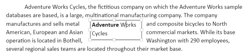 Text box shape view in DocumentEditor