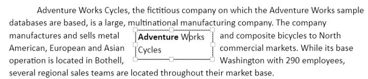 Text box shape view in DocumentEditor