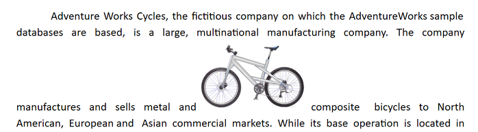 view of image with inline wrapping style in DocumentEditor
