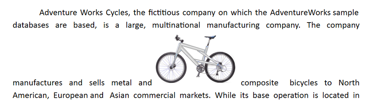 view of image with inline wrapping style in DocumentEditor