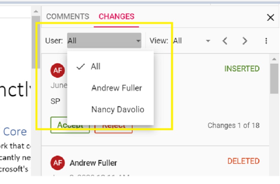 Filter changes by user in review panel