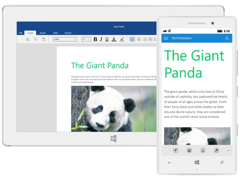 SfRichTextBoxAdv overview showing the Pages layout with a sample document