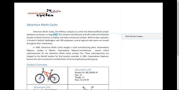 WPF DOCX Editor with Comment