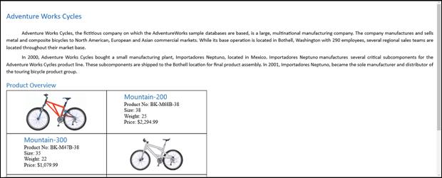 WPF DOCX Editor rendered in Continuous layout, showing all content on a single scrollable page