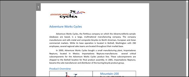 WPF DOCX Editor rendered in Pages layout, showing paginated content