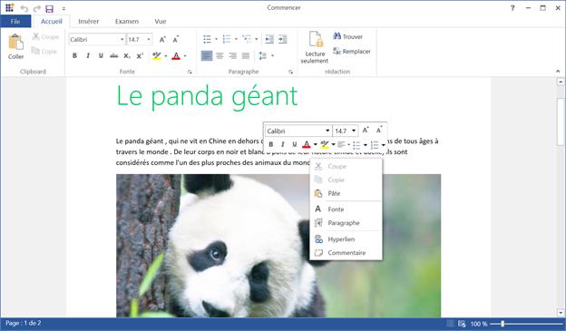 SfRichTextBoxAdv and SfRichTextRibbon rendered with French-localized text in the ribbon and dialogs