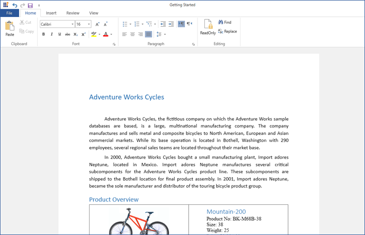 Output of WPF DOCX Editor