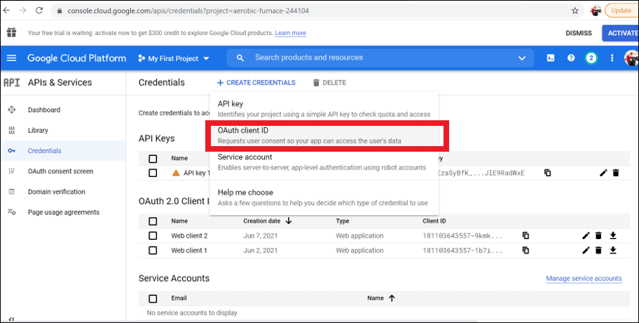 Google API Oauth client Id