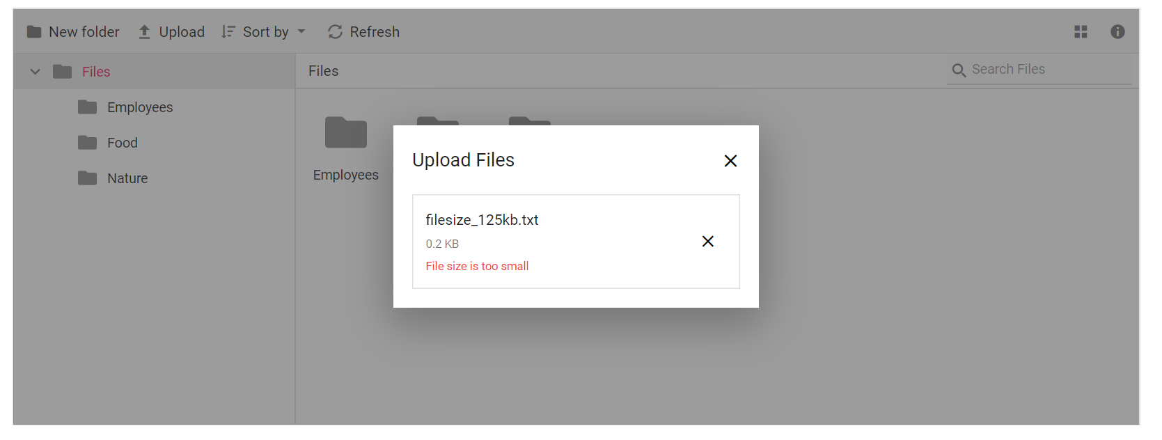 File Manager upload customization