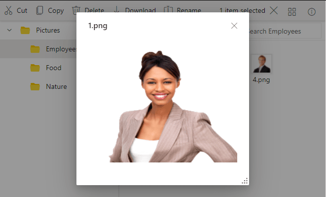 File Manager Sample