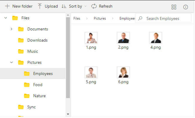 ASP.NET Core File Manager with Specific Path