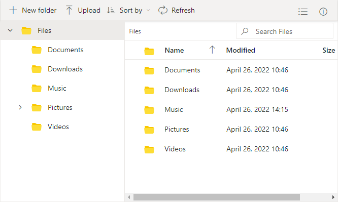 File Manager details view