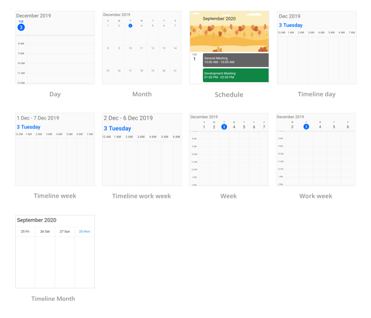 Multiple calendar views