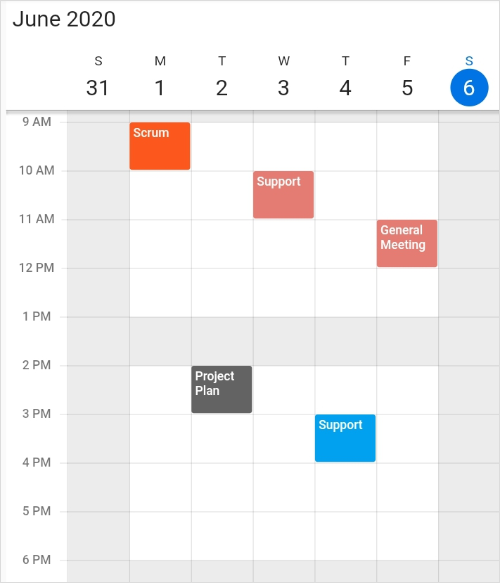 Special time region in Flutter event calendar