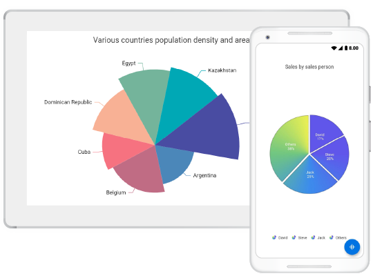 Overview Flutter chart