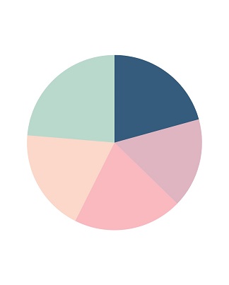 Selection in Flutter Circular Charts widget | Syncfusion