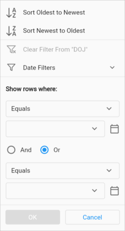 Advanced date filter in Flutter DataGrid