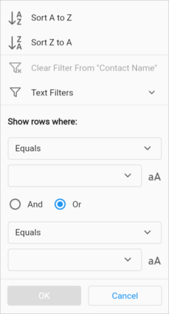 Advanced text filter in Flutter DataGrid