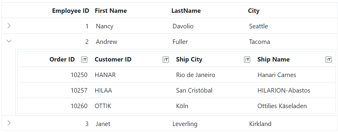 ASP.NET Core Grid filtering icon.