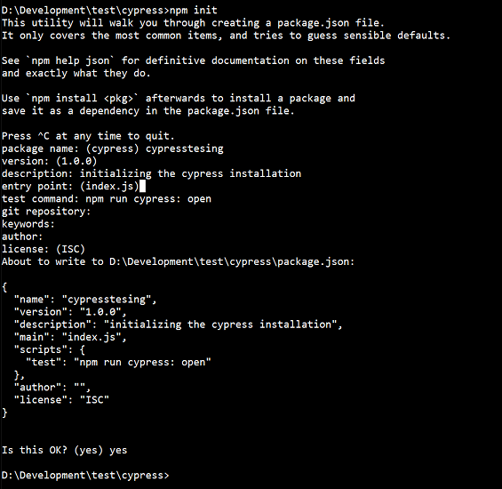 npm initialation