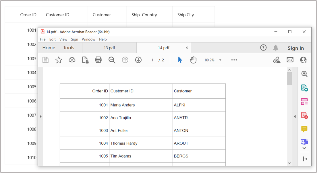 Export DataGrid to PDF format with both vertical and horizontal borders