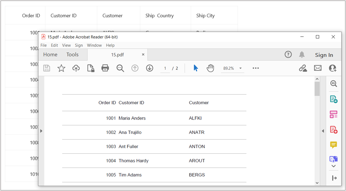Export DataGrid to PDF format with horizonatal border lines alone