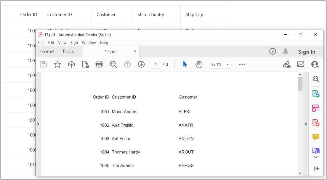 Export DataGrid to PDF format without border lines