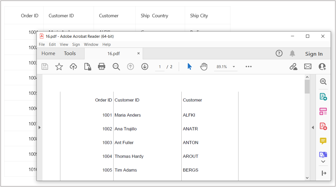 Export DataGrid to PDF format with vertical border lines alone