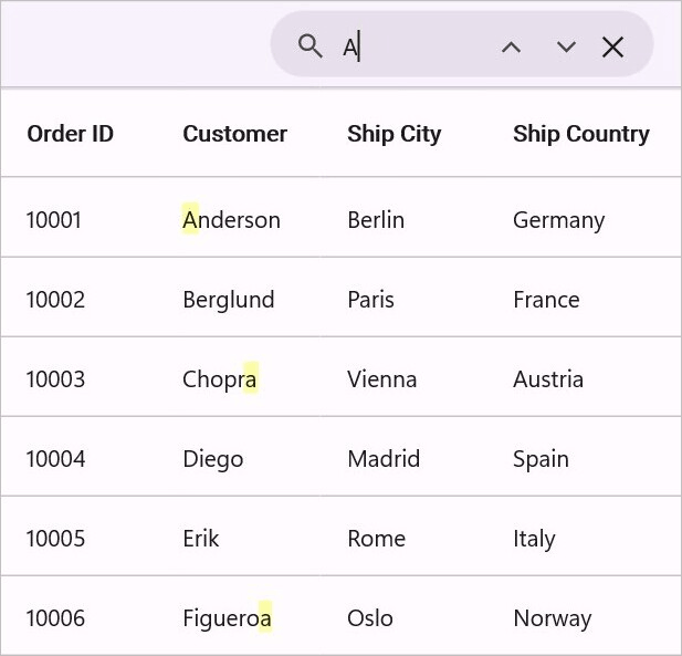 DataGrid displays Search Text only in Selected Column